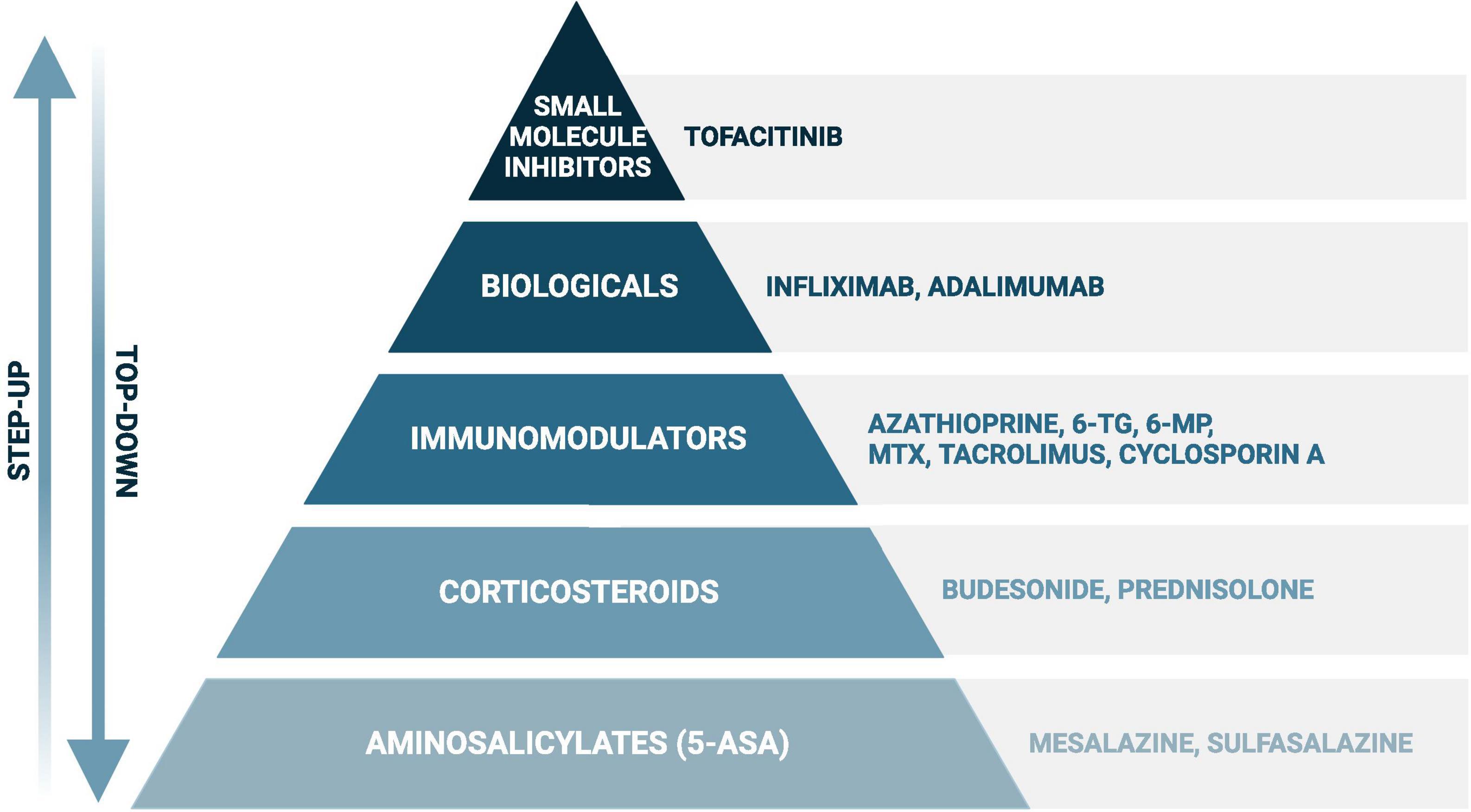 Current evidence and clinical relevance of drug-microbiota interactions in inflammatory bowel disease
